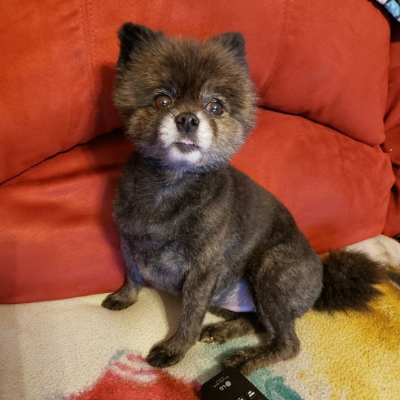 Meet your Posher, Crystal - Picture 2 of 2